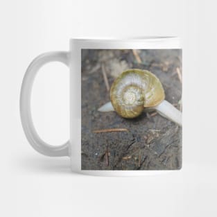 Haplotrema vancouverense snail Mug